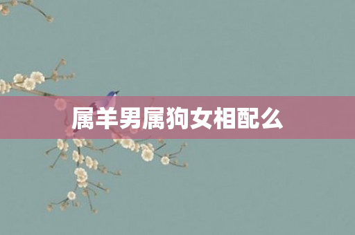 属羊男属狗女相配么