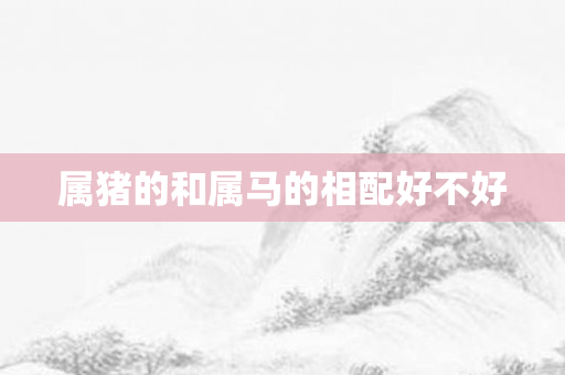 属猪的和属马的相配好不好