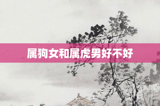 属狗女和属虎男好不好