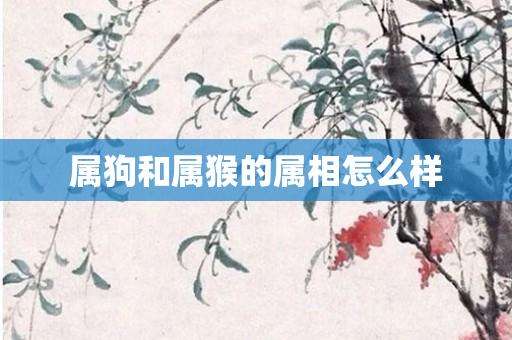 属狗和属猴的属相怎么样