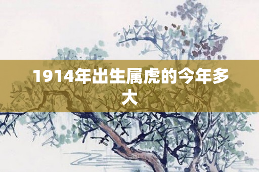 1914年出生属虎的今年多大