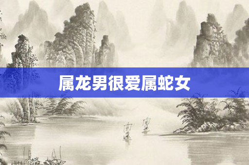 属龙男很爱属蛇女