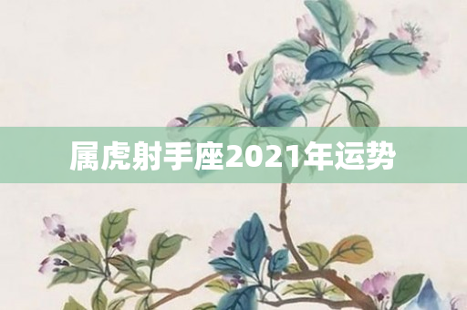 属虎射手座2021年运势