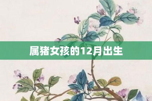 属猪女孩的12月出生