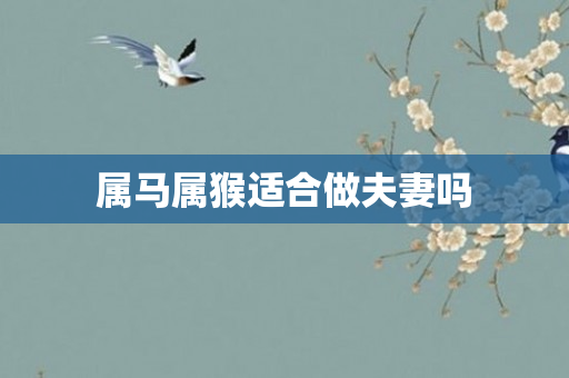 属马属猴适合做夫妻吗