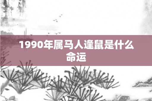 1990年属马人逢鼠是什么命运