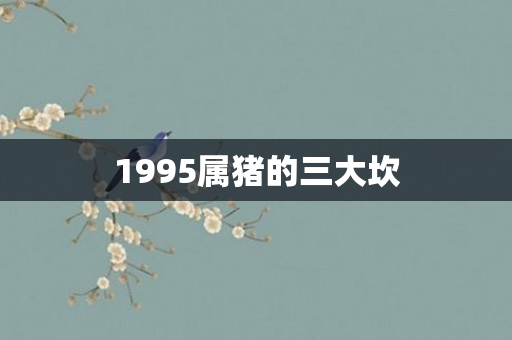 1995属猪的三大坎