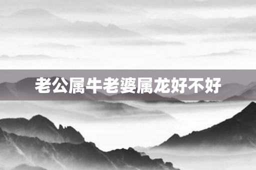 老公属牛老婆属龙好不好