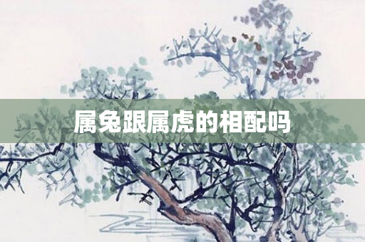 属兔跟属虎的相配吗