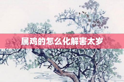 属鸡的怎么化解害太岁