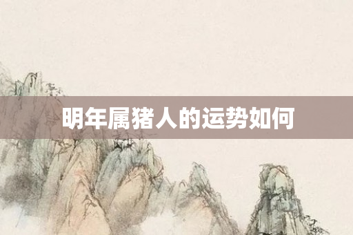 明年属猪人的运势如何
