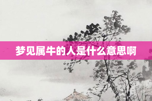 梦见属牛的人是什么意思啊