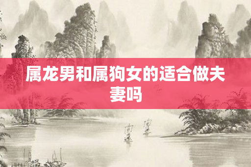 属龙男和属狗女的适合做夫妻吗