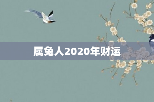 属兔人2020年财运