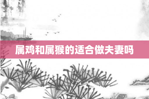 属鸡和属猴的适合做夫妻吗