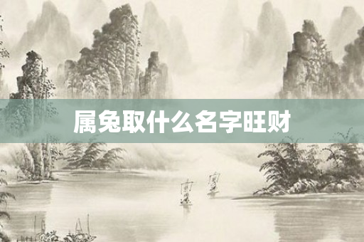 属兔取什么名字旺财