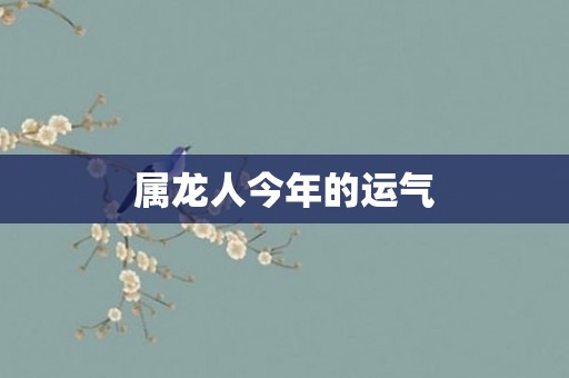 属龙人今年的运气