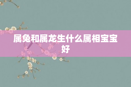 属兔和属龙生什么属相宝宝好