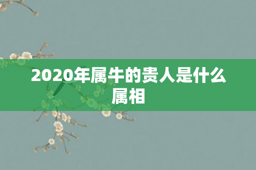 2020年属牛的贵人是什么属相