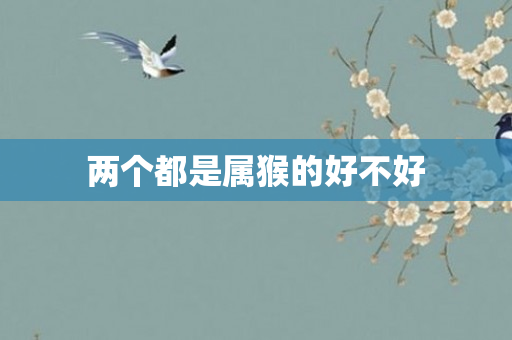 两个都是属猴的好不好