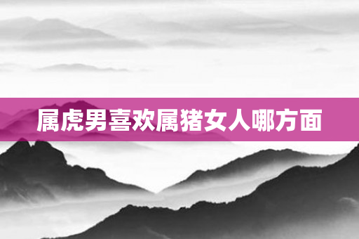 属虎男喜欢属猪女人哪方面