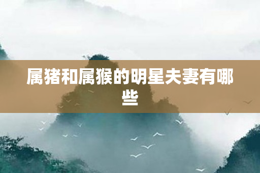 属猪和属猴的明星夫妻有哪些