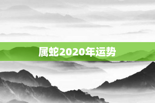 属蛇2020年运势