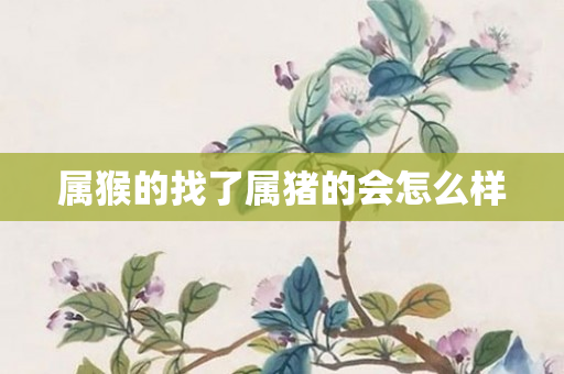 属猴的找了属猪的会怎么样