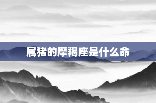 属猪的摩羯座是什么命