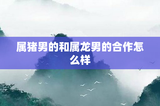 属猪男的和属龙男的合作怎么样