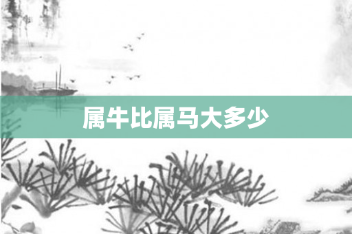 属牛比属马大多少