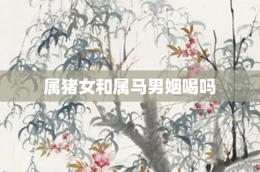 属猪女和属马男姻喝吗