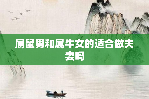 属鼠男和属牛女的适合做夫妻吗
