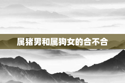 属猪男和属狗女的合不合