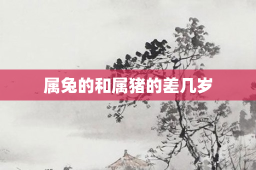 属兔的和属猪的差几岁