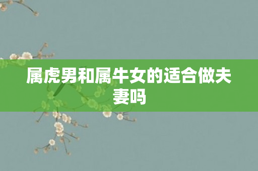 属虎男和属牛女的适合做夫妻吗