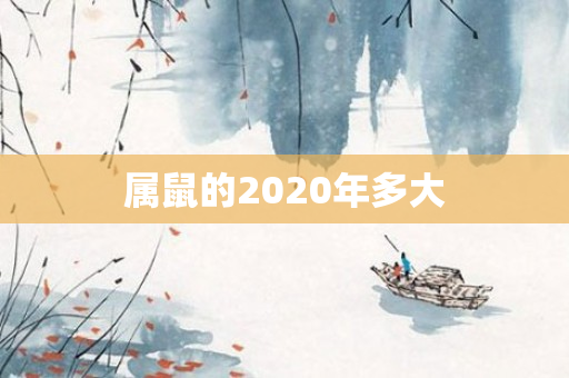 属鼠的2020年多大