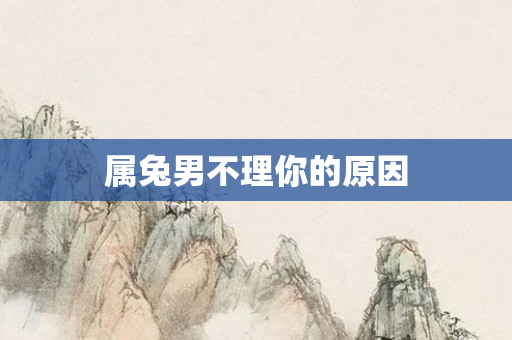 属兔男不理你的原因
