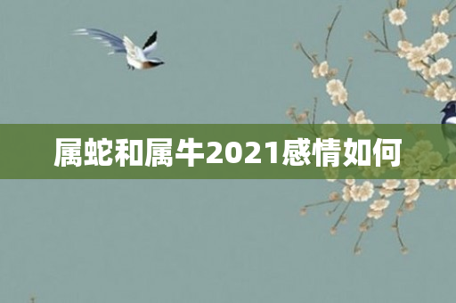 属蛇和属牛2021感情如何