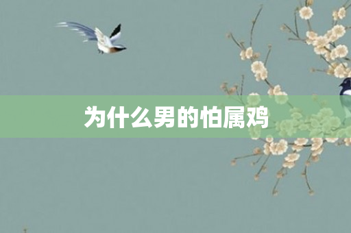 为什么男的怕属鸡