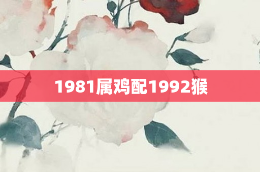 1981属鸡配1992猴