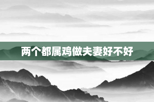 两个都属鸡做夫妻好不好