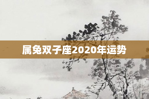 属兔双子座2020年运势