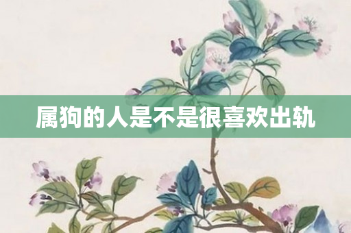 属狗的人是不是很喜欢出轨