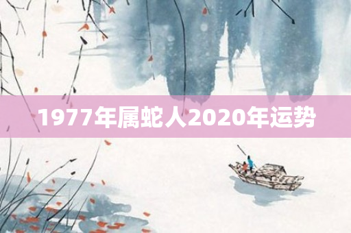 1977年属蛇人2020年运势