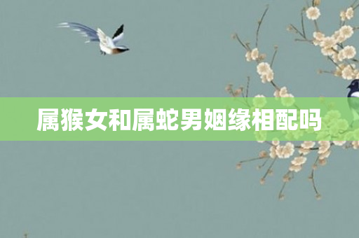 属猴女和属蛇男姻缘相配吗