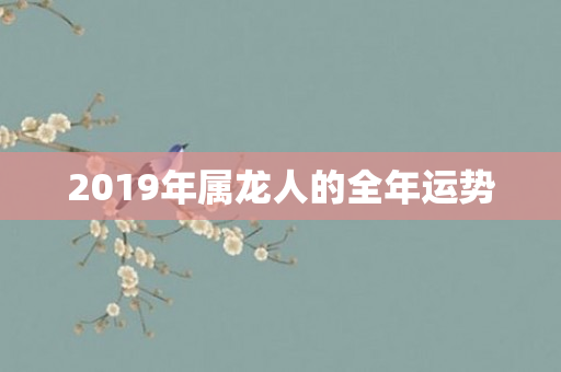 2019年属龙人的全年运势