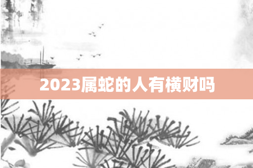 2023属蛇的人有横财吗