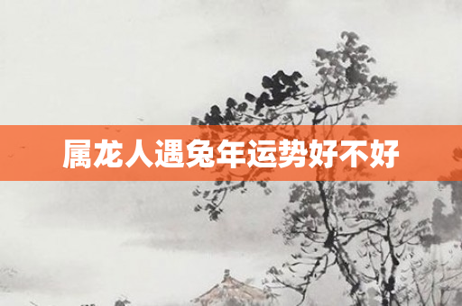 属龙人遇兔年运势好不好