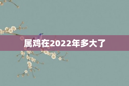 属鸡在2022年多大了